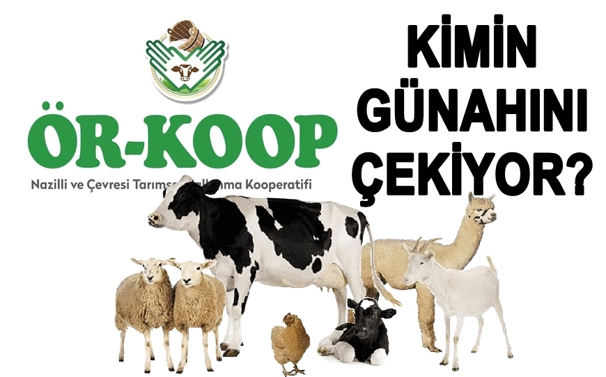 50 Yıllık Kooperatifte Kriz!