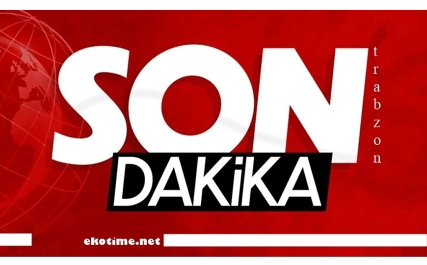 Emekliye Destici Zammı