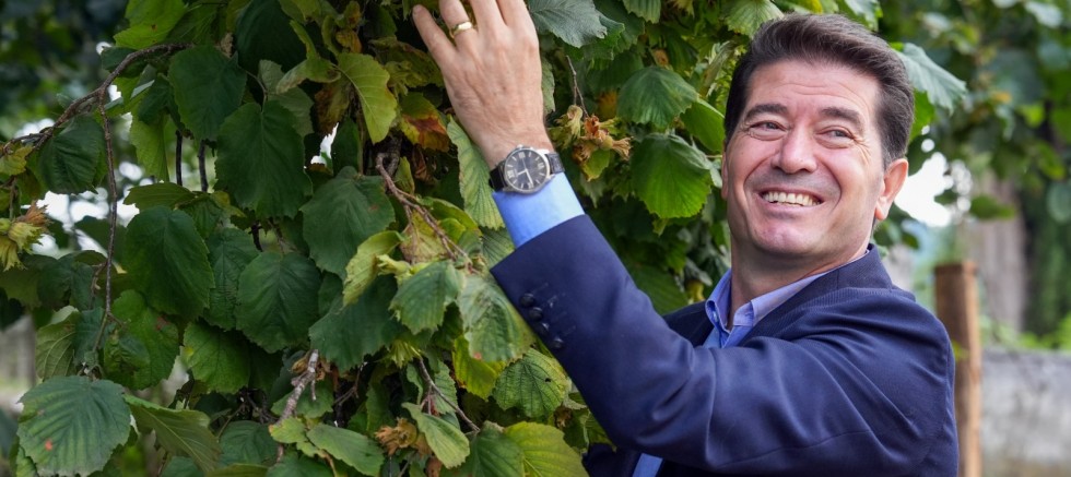 Fındığa Başkan Eli