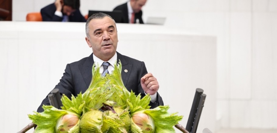 Fındık Üreticisinden Ne İstiyorlar?