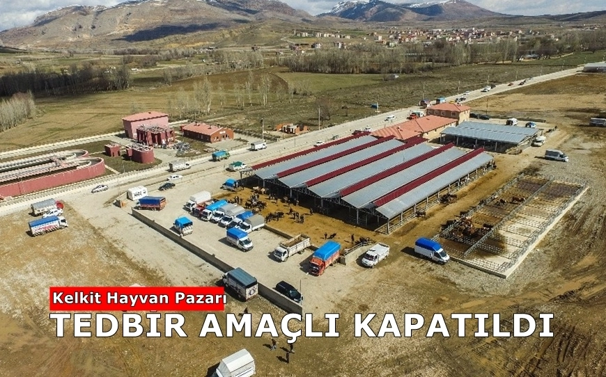 Kelkit Hayvan Pazarı Tedbir Amaçlı Kapatıldı