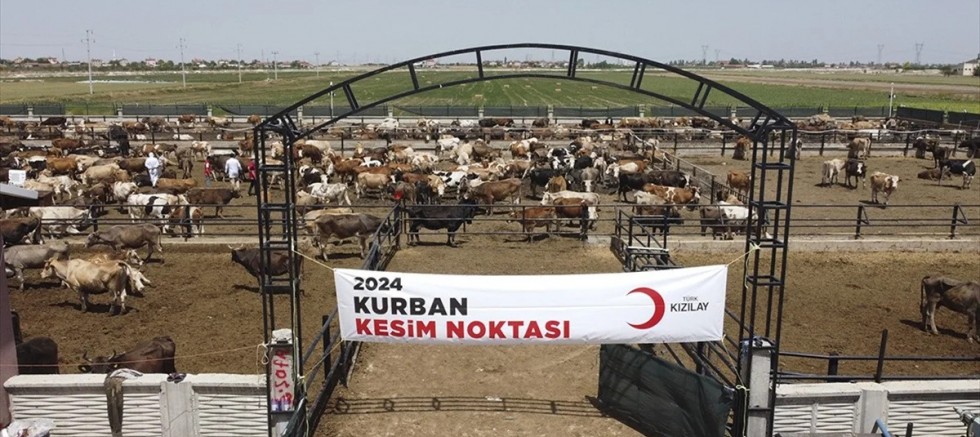 Kızılay Kurban Ağında Dünyaya Açılıyor