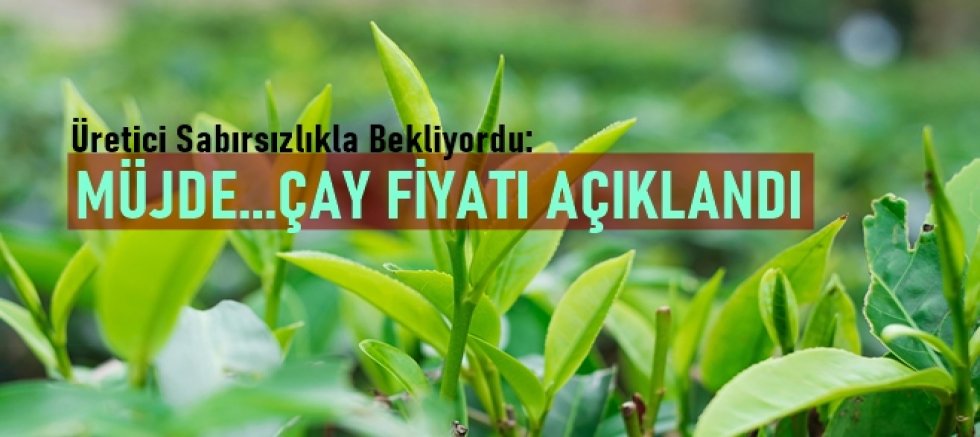 Çaykur Açıkladı... Sıra Özel Sektörde