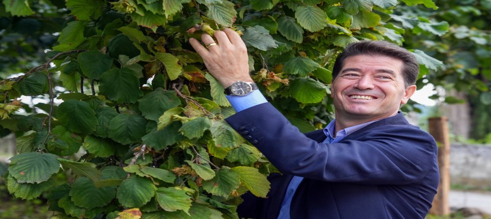 Fındığa Başkan Eli