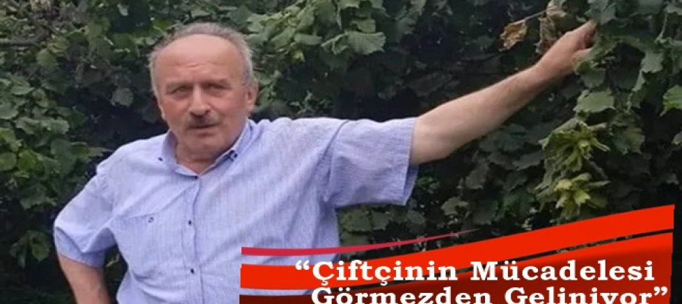 Fındığa yan Bakanlar!