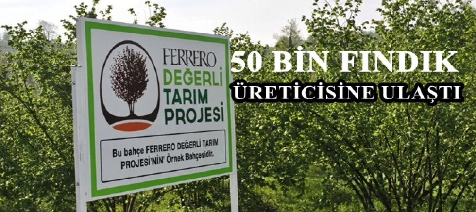 Fındıkta 50 bin üreticiye ulaşıldı