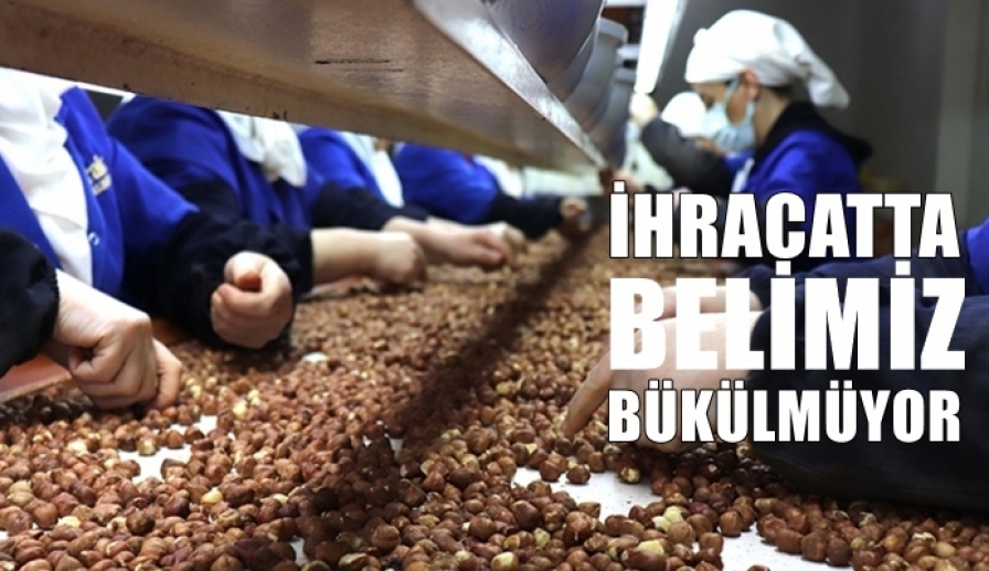 Fındıkta Trabzon Zirveyi Bırakmadı