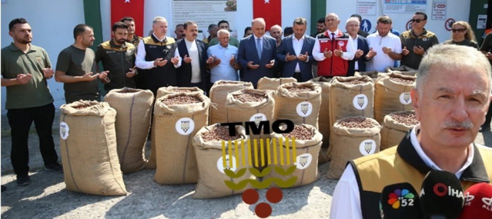 Geçen yılın fındığını getirmeyin