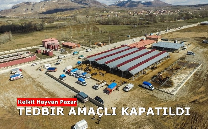 Kelkit Hayvan Pazarı Tedbir Amaçlı Kapatıldı