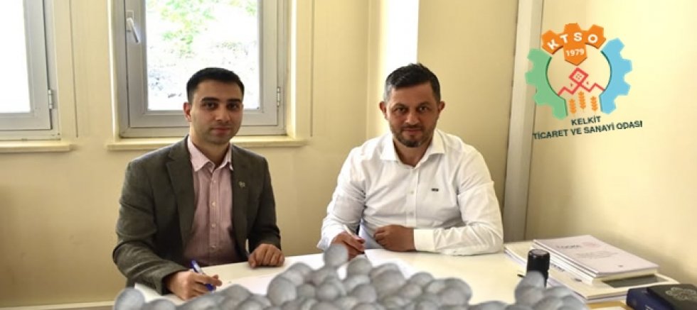 Kelkit Şeker Fasulyesi Guinness Dünya Rekoru Yolunda!