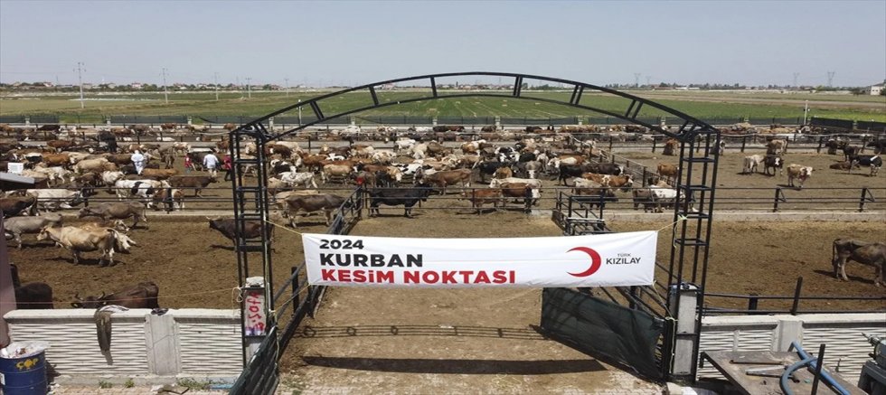 Kızılay Kurban Ağında Dünyaya Açılıyor