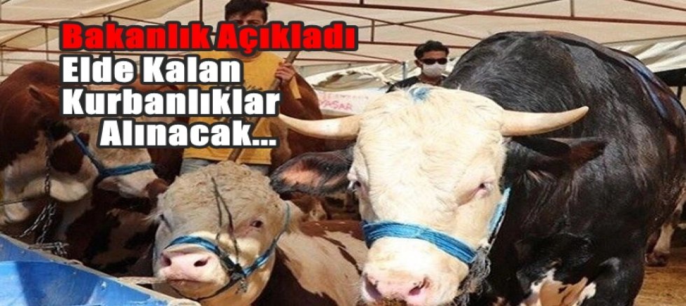 Kurbanlıklar ESK'ya