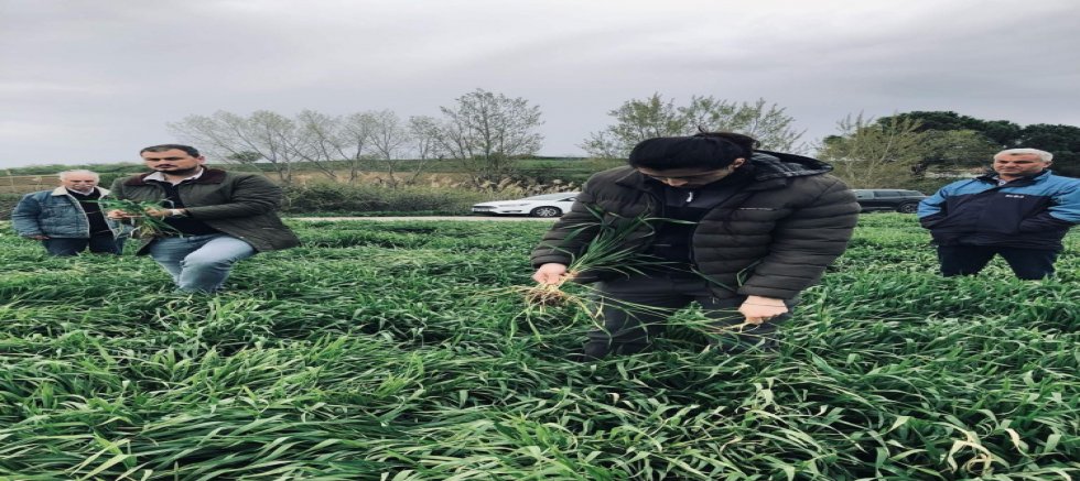 Mevsimler Normale Dönüyor Ama…