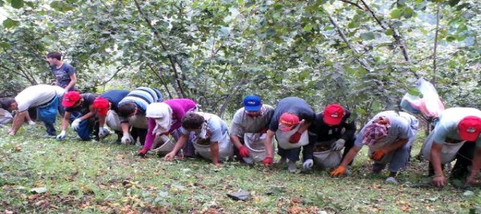 Ordu Sorunu Çözdü: Sırada Trabzon Var!