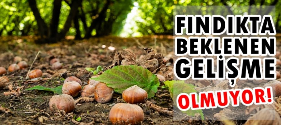 Tartışma Ne Zaman Bitecek!