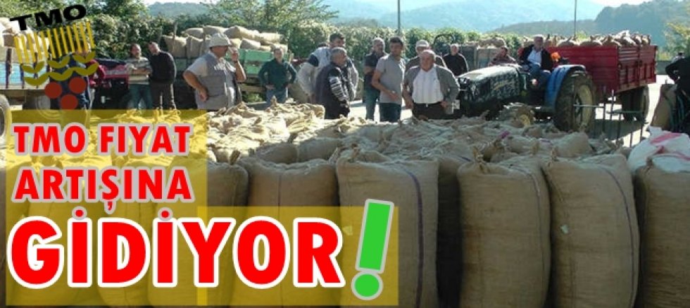 TMO Fabrika Ayarlarına Dönüyor