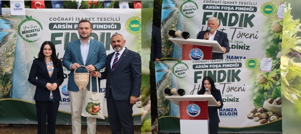 Trabzon'da Fındık Hasadı Başladı! Coğrafi İşaretli Arsin Foşa Fındığında Gözler Şimdi Fiyatlarda