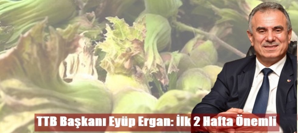 Trabzon Ticaret Borsası Başkanı Eyyüp Ergan: Fındıkta ilk fiyatlara göre hareket edilmemeli