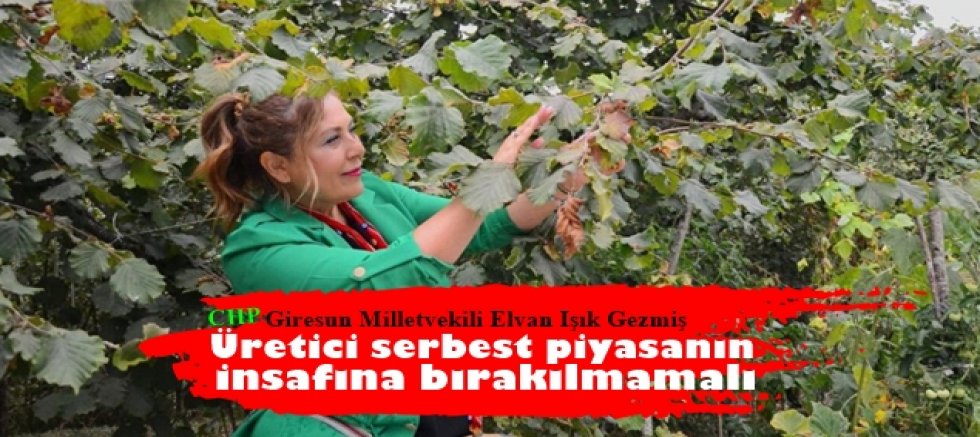 Üretici serbest piyasanın insafına bırakılmamalı