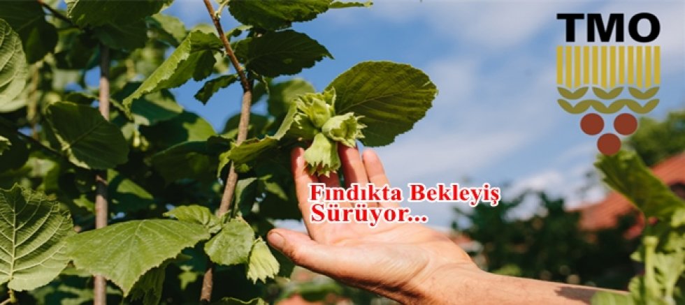 Üreticici Zor Günleri Başlıyor