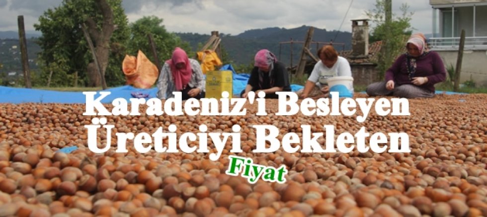 Üreticinin Beklentisi Yüksek