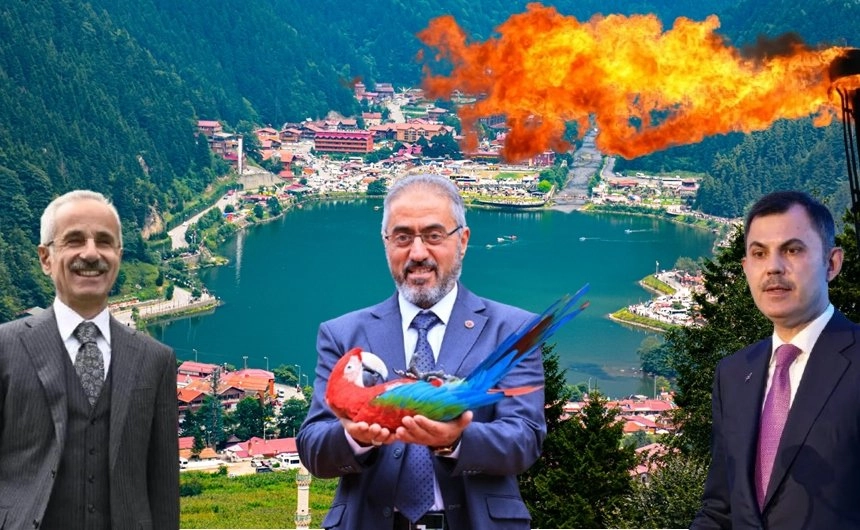 Uzungöl Bakanlardan ne istiyor? İlk sırada o talep var...