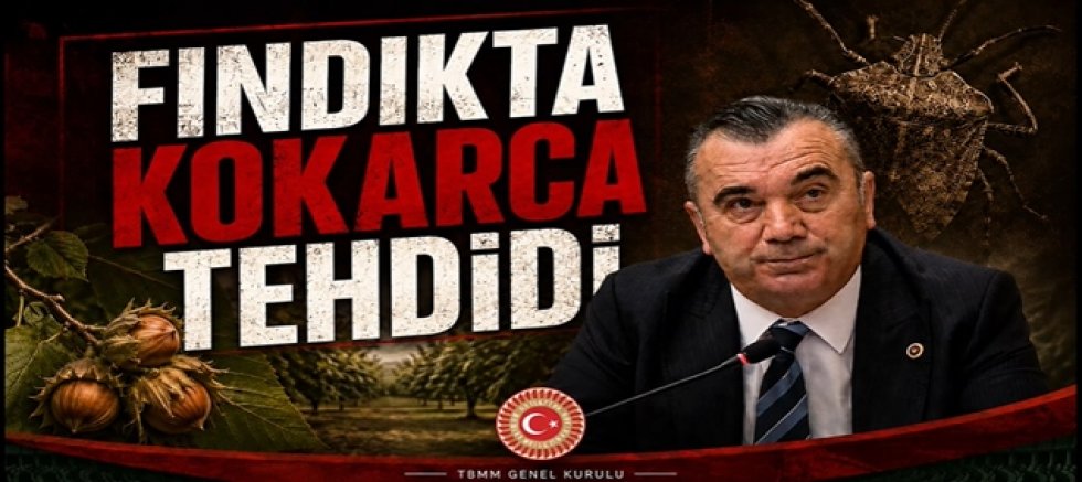 Yine Kokarca: Yine Tehlike