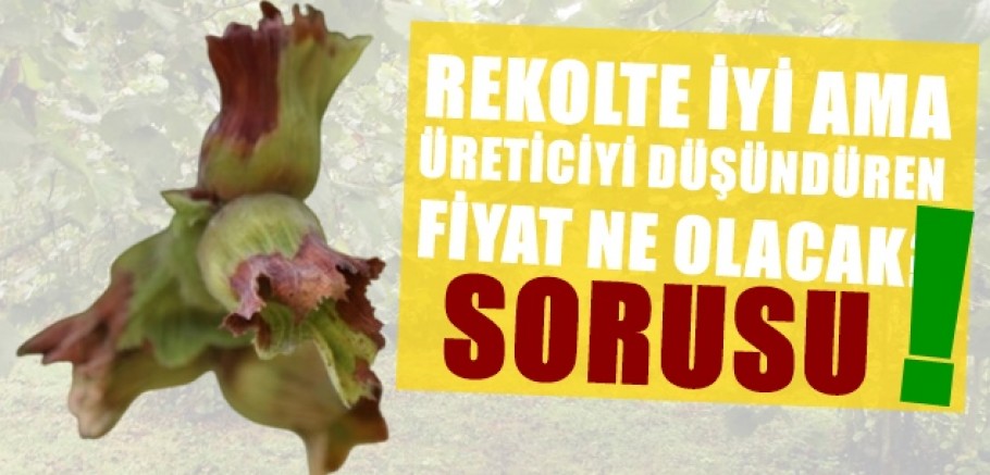 Rekolte 21 Temmuz'da açıklanacak.