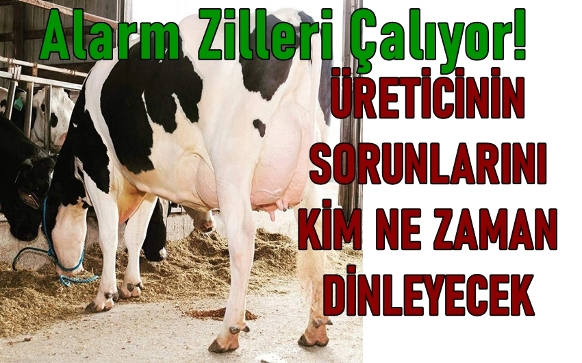 Süt Üreticisi Dertli