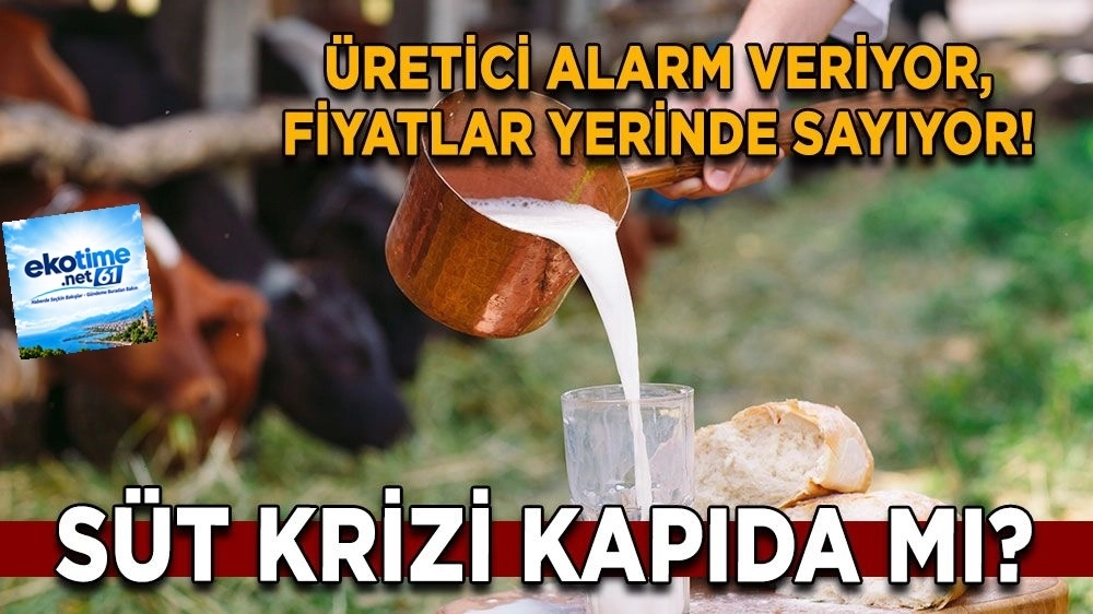 SÜTTE KRİTİK MAKAS BÜYÜYOR: ÜRETİCİ LİTRE BAŞINA 4,20 TL ZARARDA