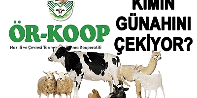 50 Yıllık Kooperatifte Kriz!