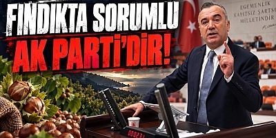 Aydın: Milyarların Konuşulduğu Ülkede Fındık Üreticisi 50 Liralara Mahkum Ediliyor