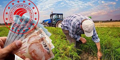 Destek Ödemeleri Netleşti