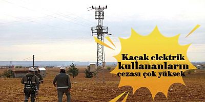 Dicle Elektrik: Şanlıurfa'da tarımsal sulamada kaçak elektrik yüzde 94'e ulaştı