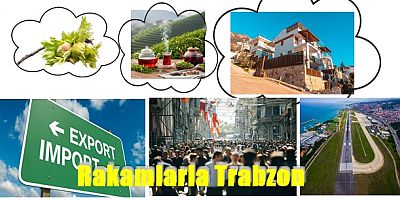ekotime.net trabzon'un ekonomik Verileri