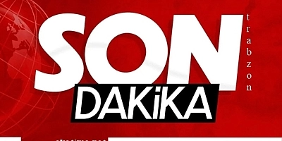 Emekliye Destici Zammı