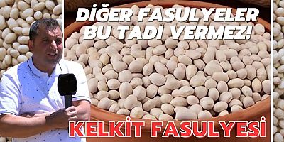 Fasülyede Dünya Markası Konya'da
