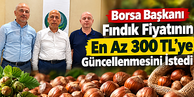 Fındık fiyatında Artvin’den dikkat çeken çağrı: 300 TL talebi