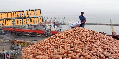 Fındık ihracatında miktar düştü, gelir arttı