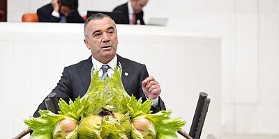 Fındık Üreticisinden Ne İstiyorlar?