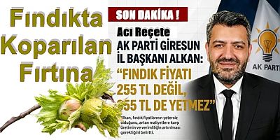 Fındıkta Bomba Çıkış! AK Parti Giresun İl Başkanı: “255 TL Değil, 355 TL De Yetmez”