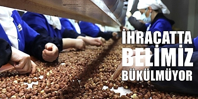 Fındıkta Trabzon Zirveyi Bırakmadı