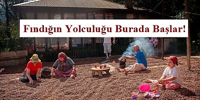 Fındıkta yeni dönem: Kilo azalıyor, döviz artıyor