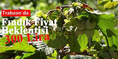 Gözler TMO'da
