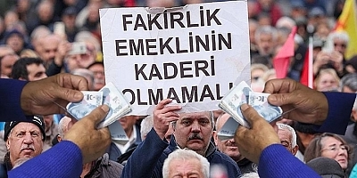 Herkes Bunu Merak Ediyor!