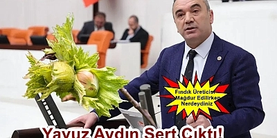 İYİ Parti Trabzon Milletvekili Yavuz Aydın: Fındık Üreticisi Mağdur Edilirken Neredeydiniz?