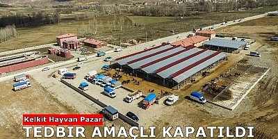 Kelkit Hayvan Pazarı Tedbir Amaçlı Kapatıldı