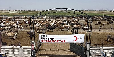 Kızılay Kurban Ağında Dünyaya Açılıyor