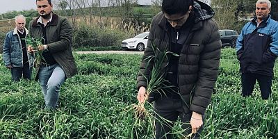 Mevsimler Normale Dönüyor Ama…