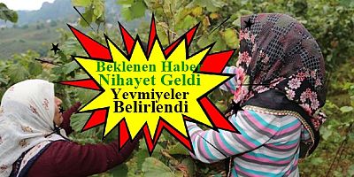 Önce Sakarya Grubu Açıkladı